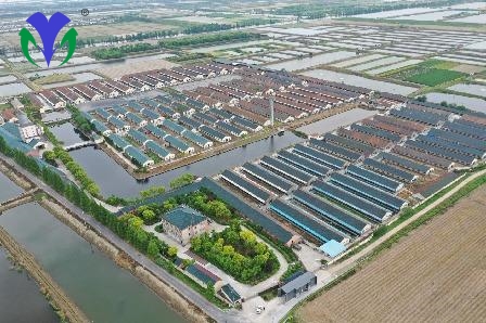 09d4d2b9b6fab13081ddab89936b2321